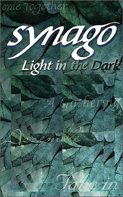 Synago Light in the Dark Student Led Senior High Cell Group Student Journal