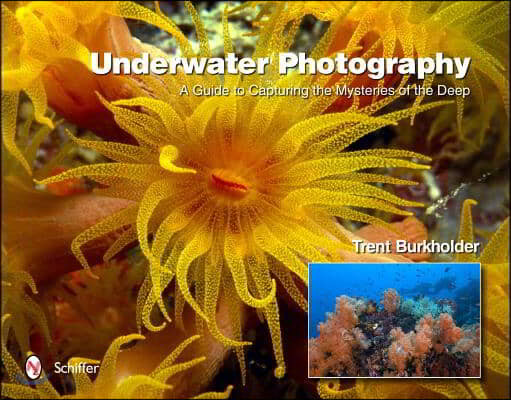 The Underwater Photography