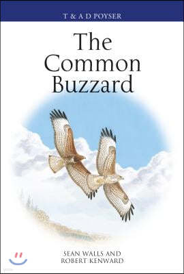 The Common Buzzard