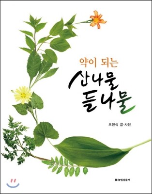 약이 되는 산나물 들나물
