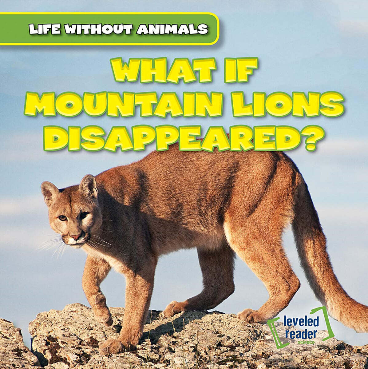 What If Mountain Lions Disappeared?
