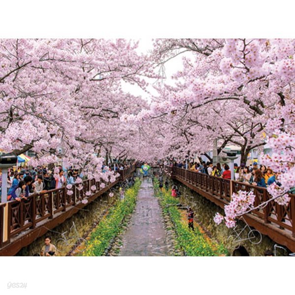벚꽃축제 [1000피스/직소퍼즐/사진/BN10-063]