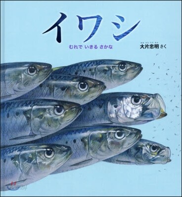 イワシ
