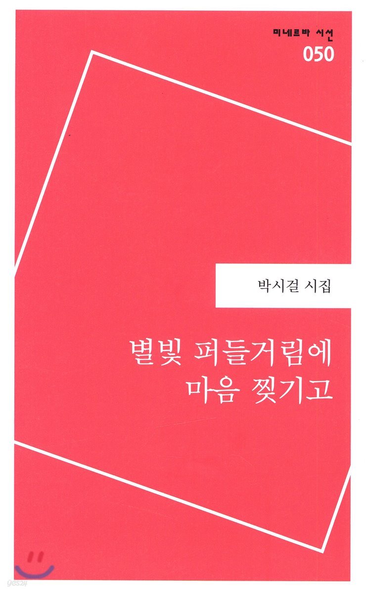 별빛 퍼들거림에 마음 찢기고