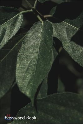 Password Book: Include Alphabetical Index with Dark Green Leaves