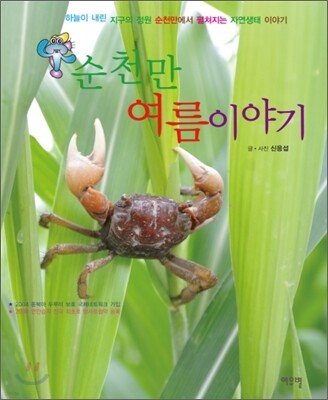 순천만 여름이야기