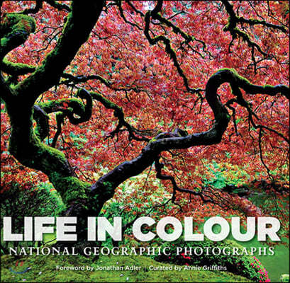 Life in Colour