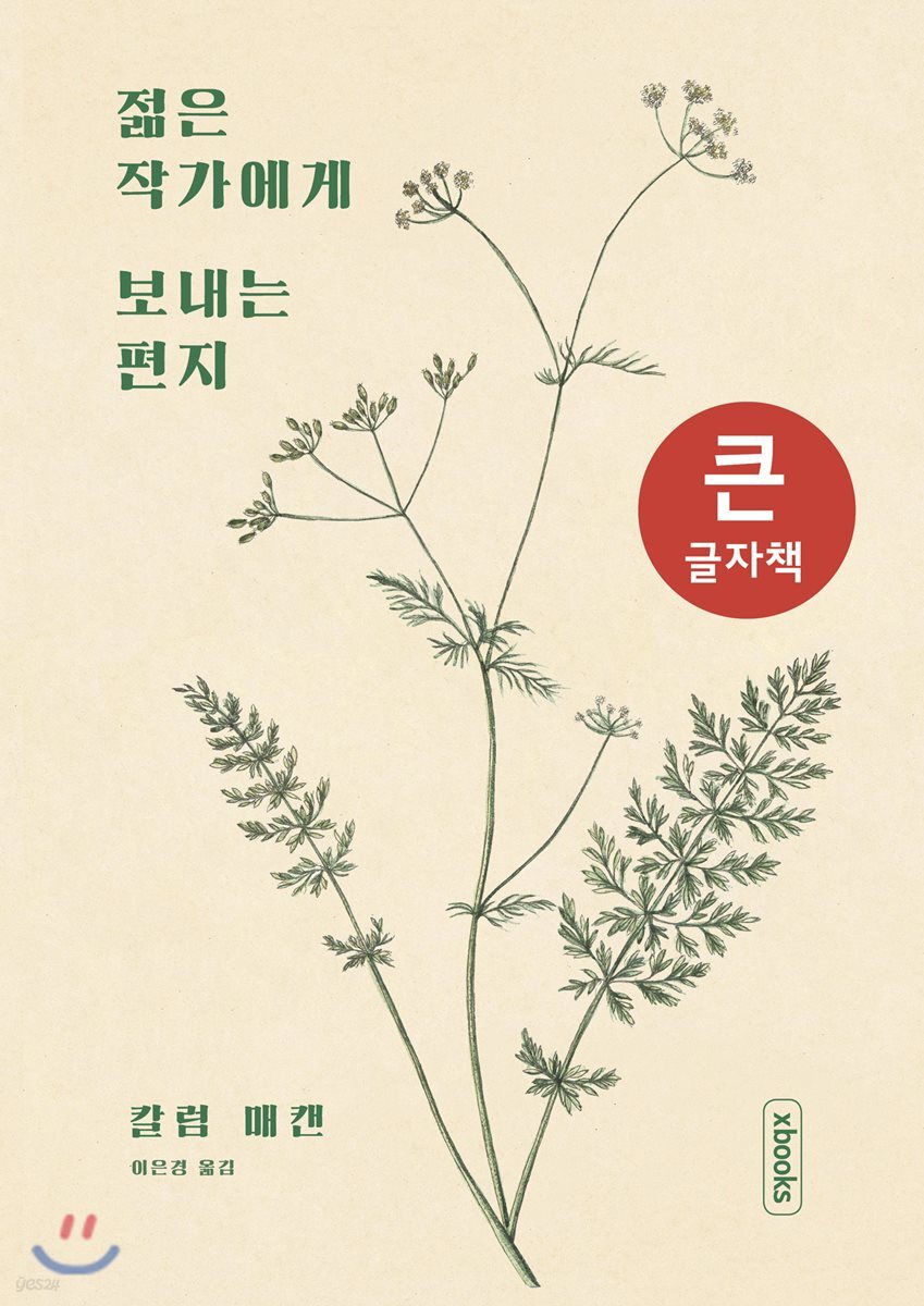 젊은 작가에게 보내는 편지 큰글자책