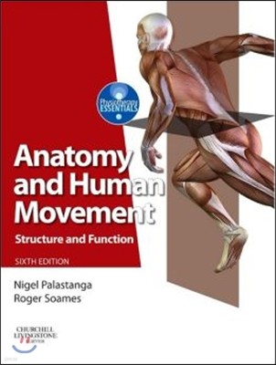 Anatomy and Human Movement