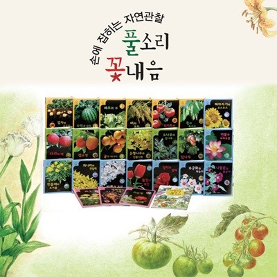 풀소리 꽃내음(본책 24권)/대교풀소리 꽃내음,꽃과풀,나무와열매,채소와곡식