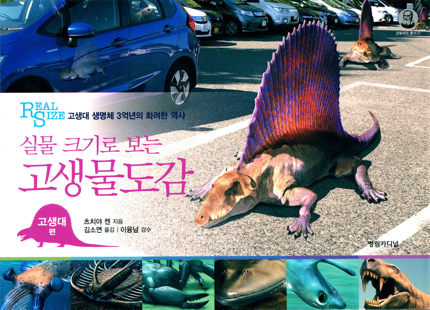 고생물도감 고생대 편