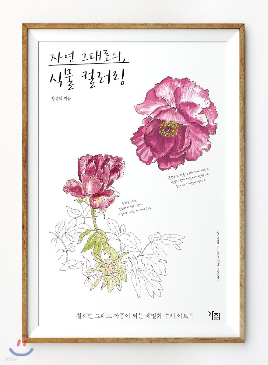 자연 그대로의, 식물 컬러링