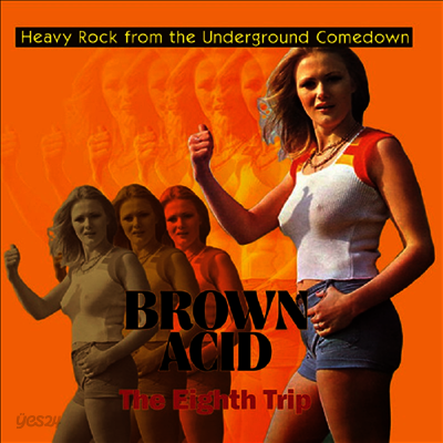 Various Artists - Brown Acid - The Eighth Trip (LP)