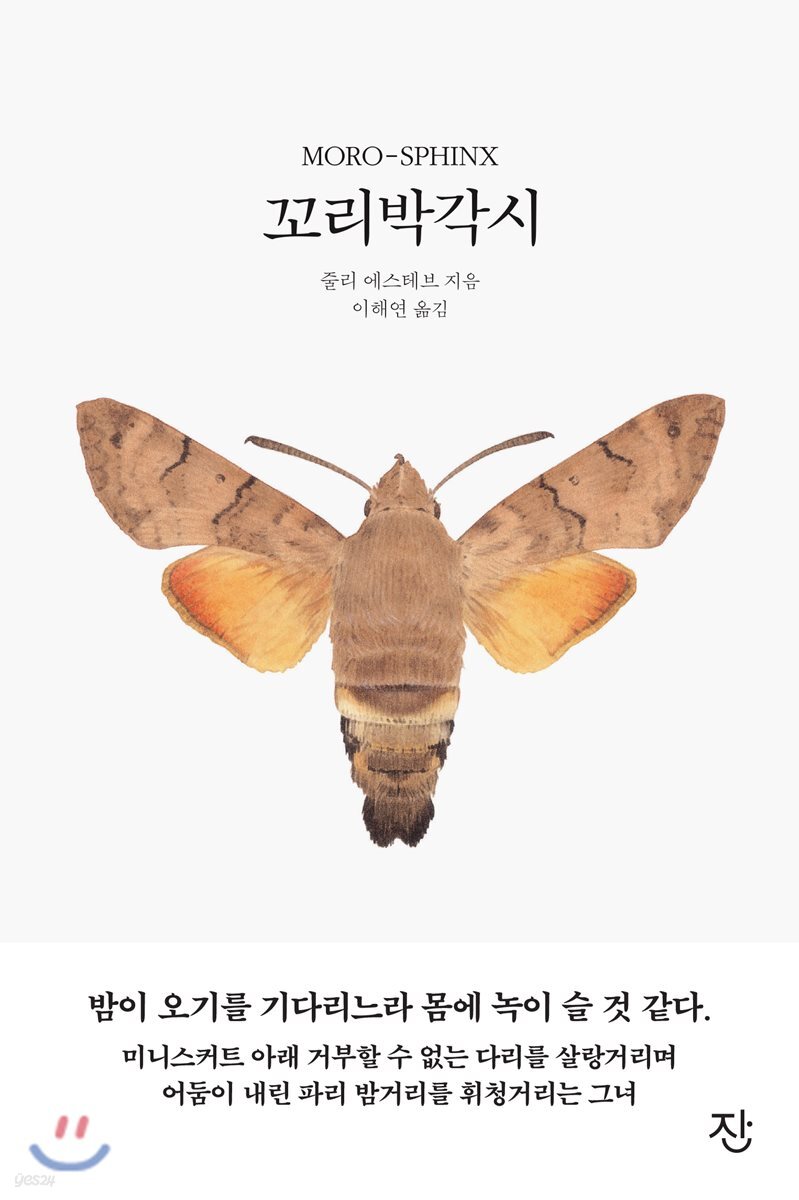 꼬리박각시