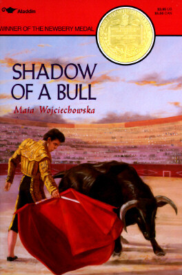 Shadow of a Bull