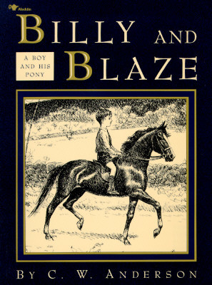 Billy and Blaze: A Boy and His Pony