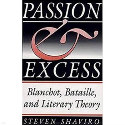 Passion and Excess: Blanchot, Bataille, and Literary Theory (Hardcover) 