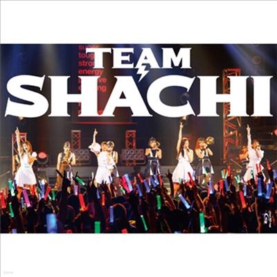 Team Shachi ( ġ) - Team Shachi (1CD+2Blu-ray) (ޫ )