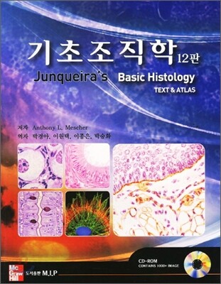 기초조직학