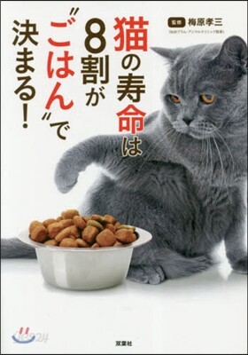 猫の壽命は8割が“ごはん”で決まる!