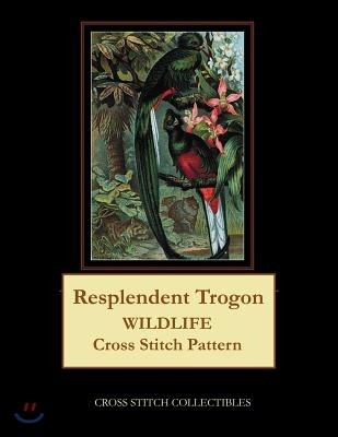 Resplendent Trogon: Wildlife Cross Stitch Pattern