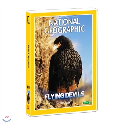 [ų׷] īī (Flying Devils DVD)