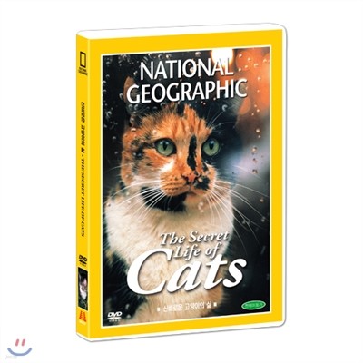 [ų׷]   (The secret life of cats DVD)