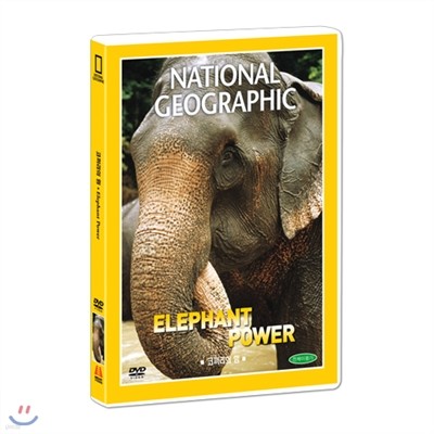 [ų׷] ڳ  (Elephant Power DVD)