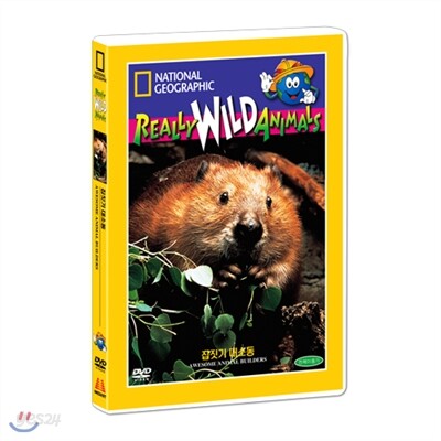 [내셔널지오그래픽] 집짓기 대소동 (Awesome Animal Builders DVD)