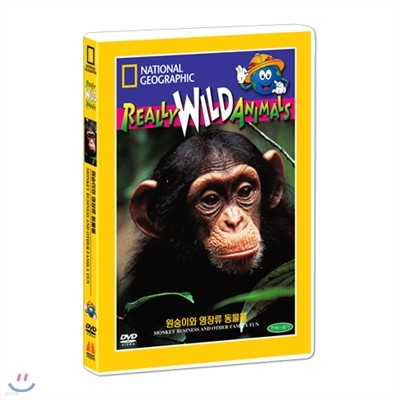 [ų׷] ̿   (Monkey Business and Other Family Fun DVD)