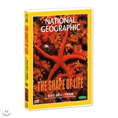 [ų׷]   : ǵ (THE ULTIMATE ANIMAL : ECHINODERMS DVD)