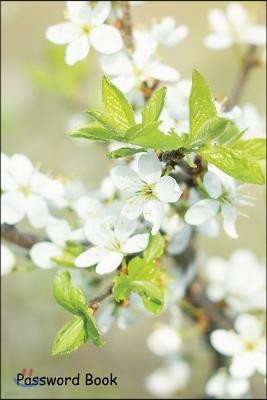 Password Book: Include Alphabetical Index with Blooming Twigs Spring Sunny Light