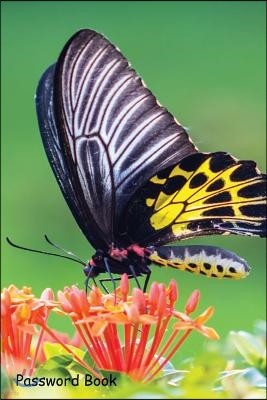 Password Book: Include Alphabetical Index with Butterfly Fly Morning Nature