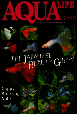 아쿠아라이프- Guppy Breeding Note 1