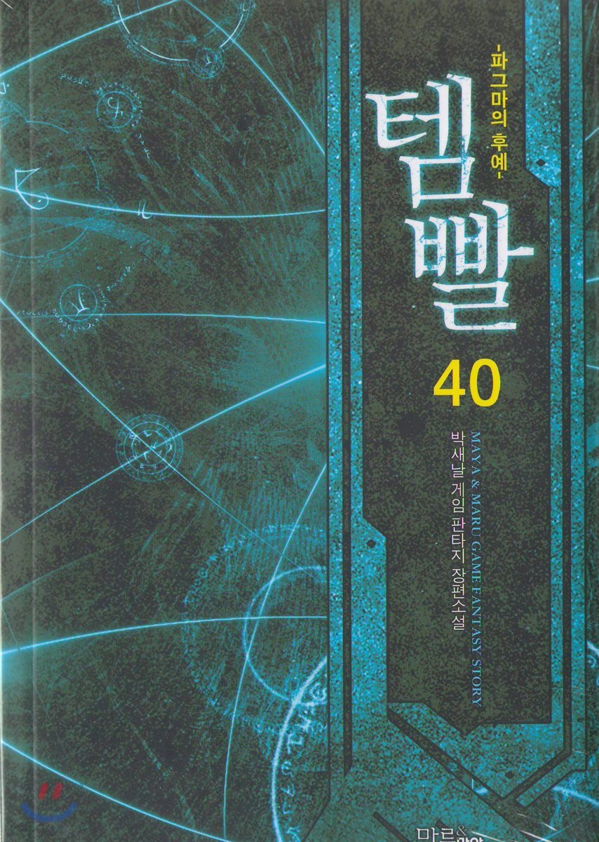 템빨 40