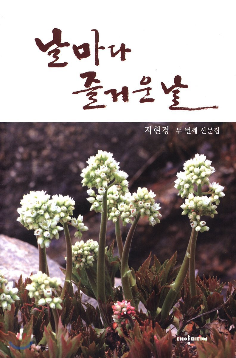 날마다 즐거운 날 - 예스24