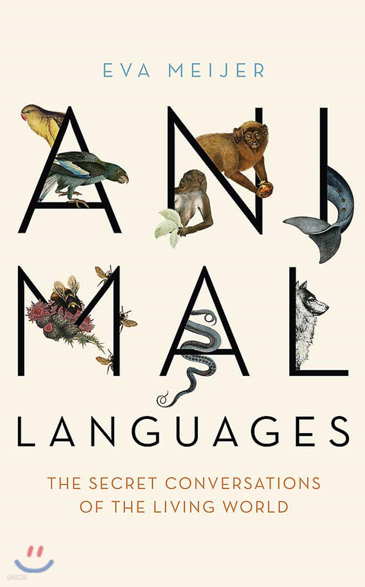 A Animal Languages