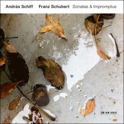 Andras Schiff 슈베르트: 피아노 소나타와 즉흥곡 - 안드라스 쉬프