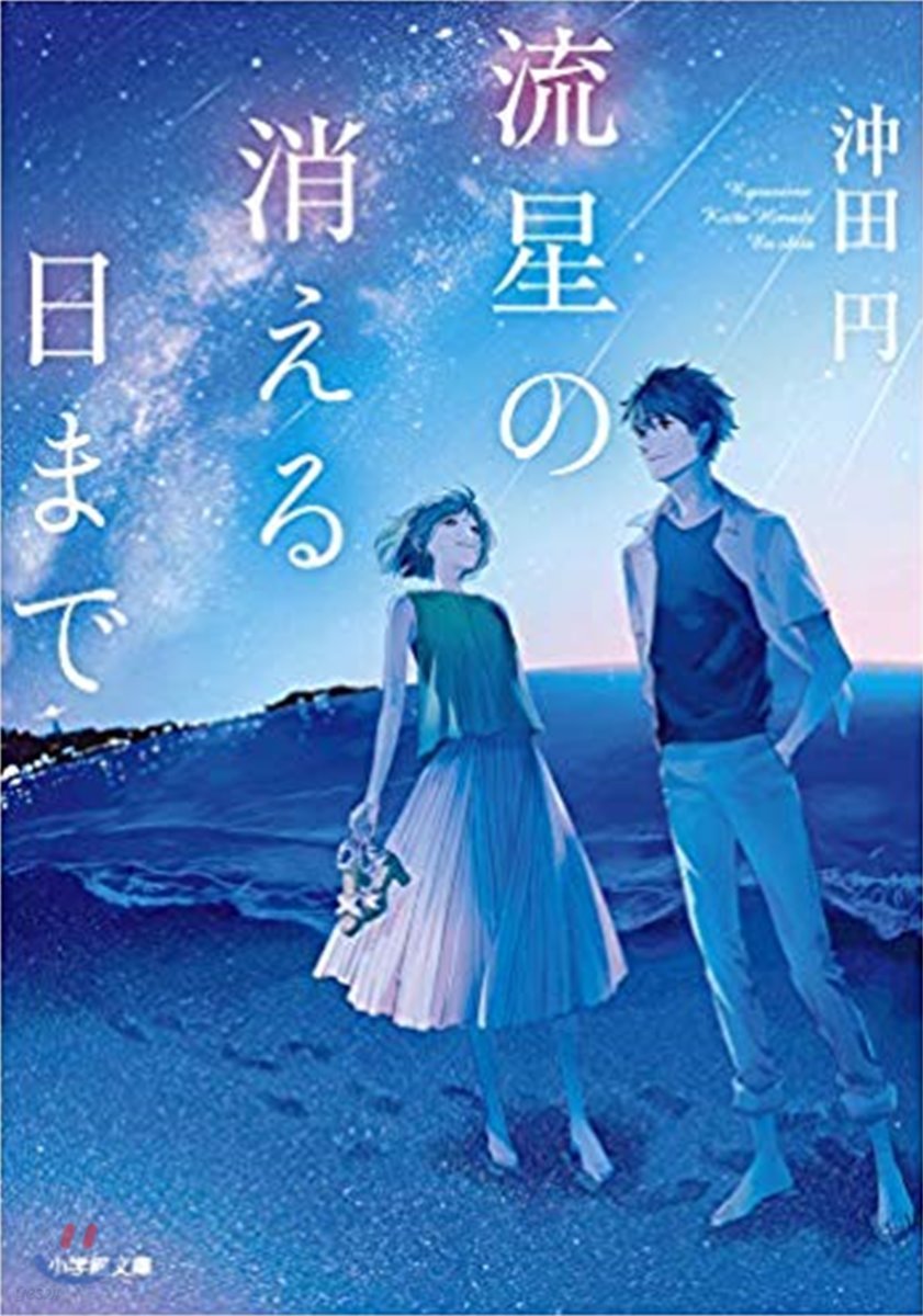 流星の消える日まで