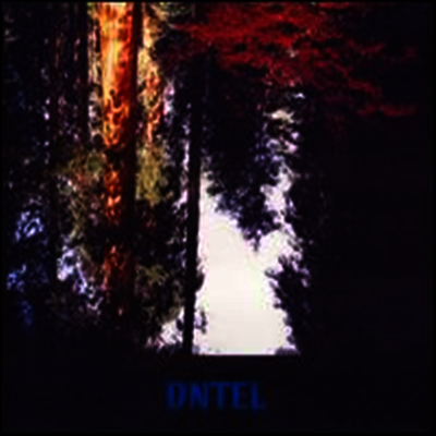 Dntel — Aimlessness 앨범 커버