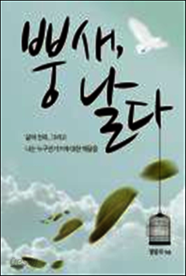 뿡새, 날다