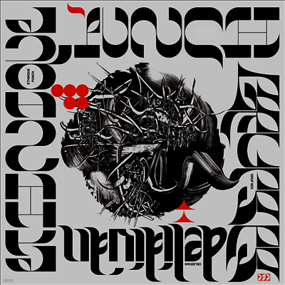 Grup Ses & Ethnique Punch — Deli Divan 앨범 커버