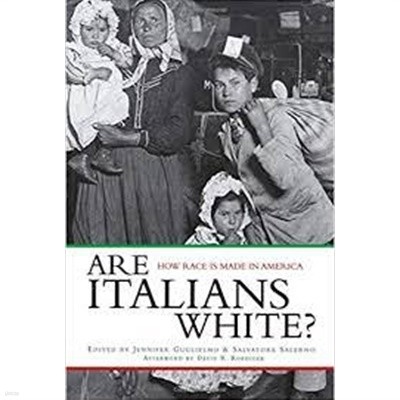 Are Italians White? : How Race is Made in America (Paperback) 