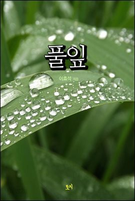 풀잎