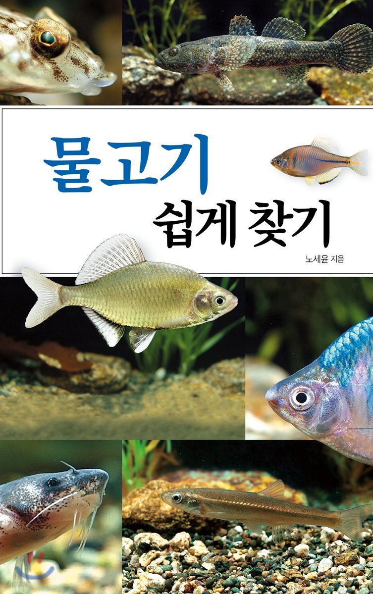 물고기 쉽게 찾기