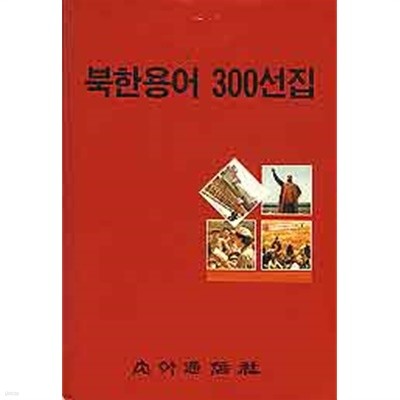 북한용어 300선집