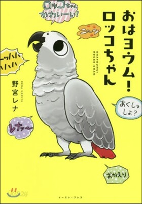 おはヨウム! ロッコちゃん