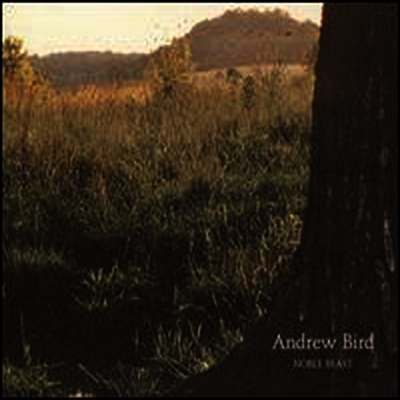 Andrew Bird — Noble Beast 앨범 커버