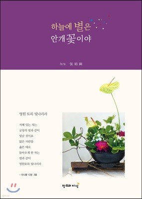 하늘의 별은 안개꽃이야