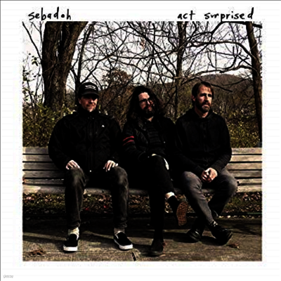 Sebadoh — Act Surprised 앨범 커버